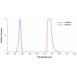 Microscop Fluorescenta ROSIE excitata cu iluminare albastra 435 nm si filtru 615 nm - 650nm- AM4517MT-RFCW